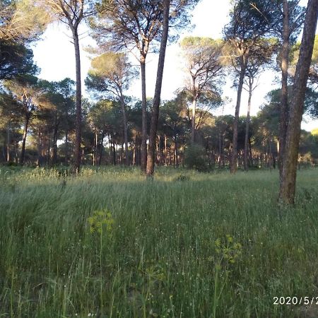 Casa Rural Los Pinos Инохос Экстерьер фото